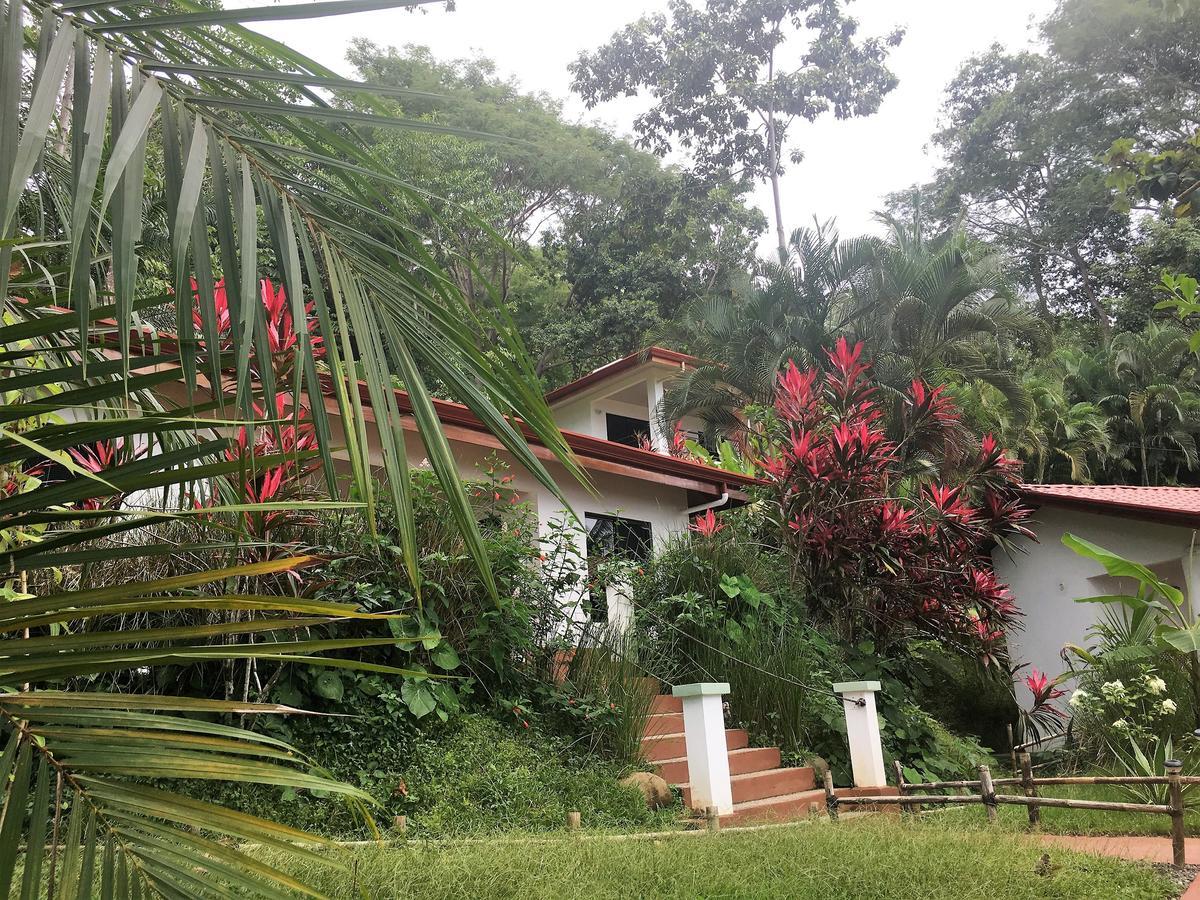 دومينيكال Casa Del Toucan المظهر الخارجي الصورة