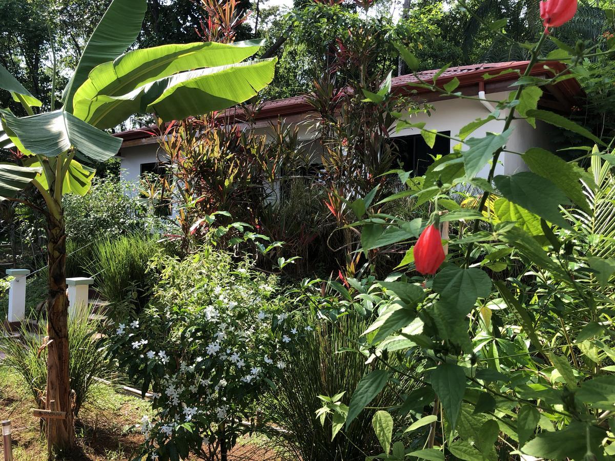 دومينيكال Casa Del Toucan المظهر الخارجي الصورة